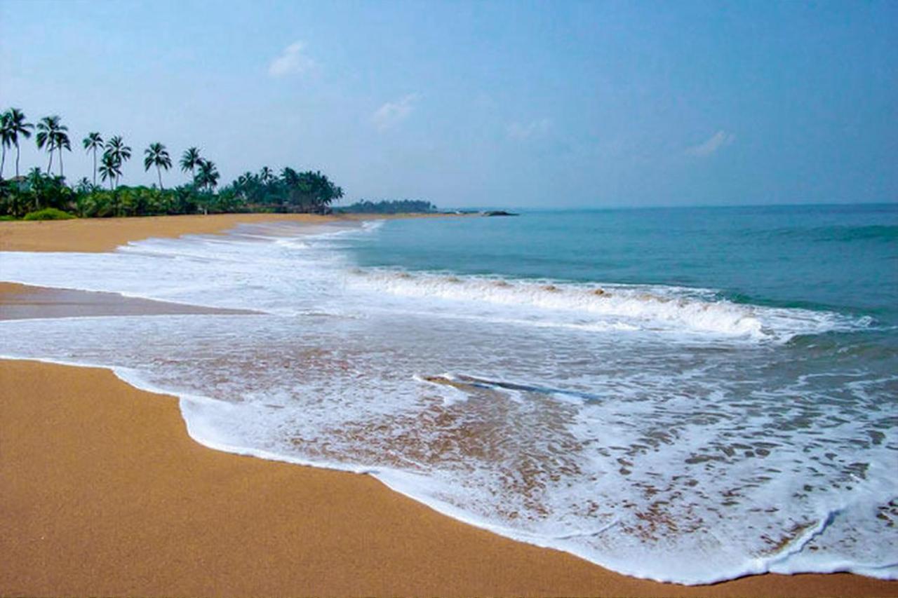 Bohemian Hotel - Negombo Kurana Katunayaka エクステリア 写真